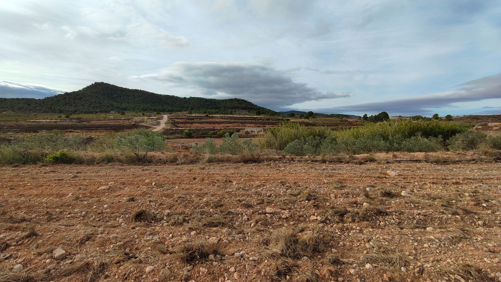 Large Building Plot with Irrigation Water in Monóvar - Image 1