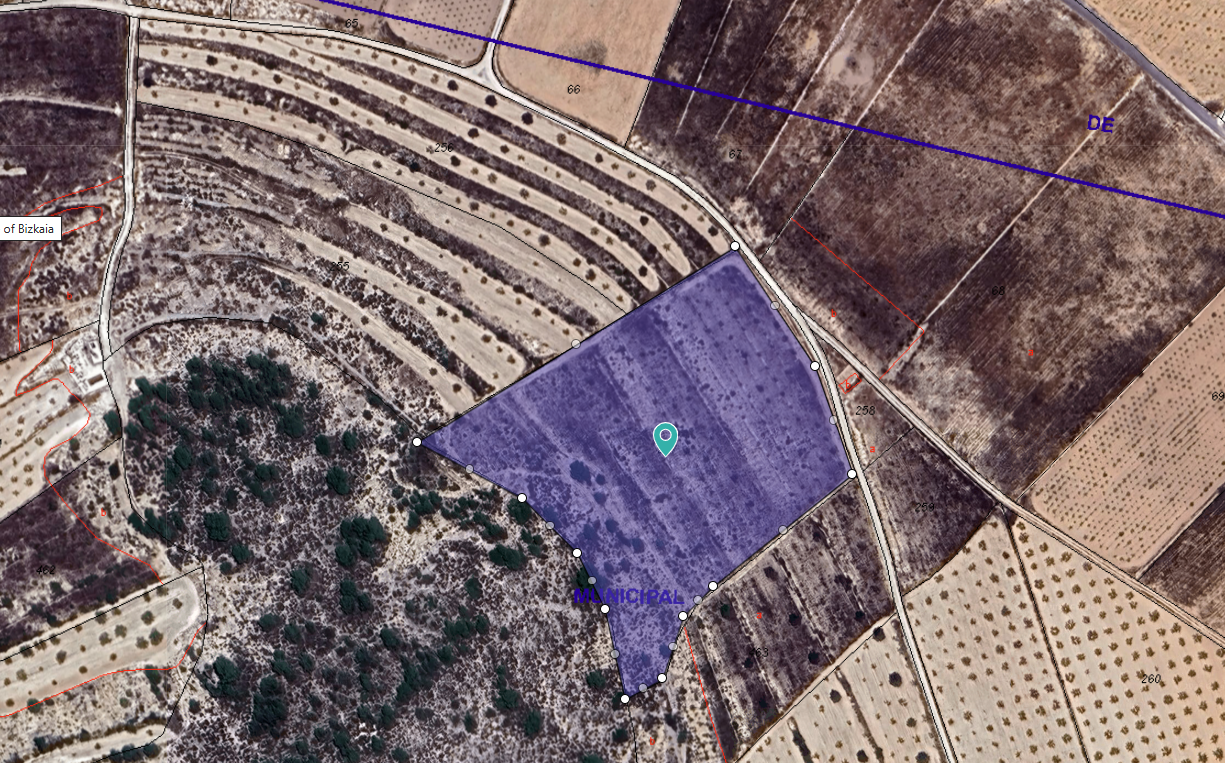 This 16,000 m² plot of land is located in the rural area of Cañada de la Leña and is suitable for co - Image 1