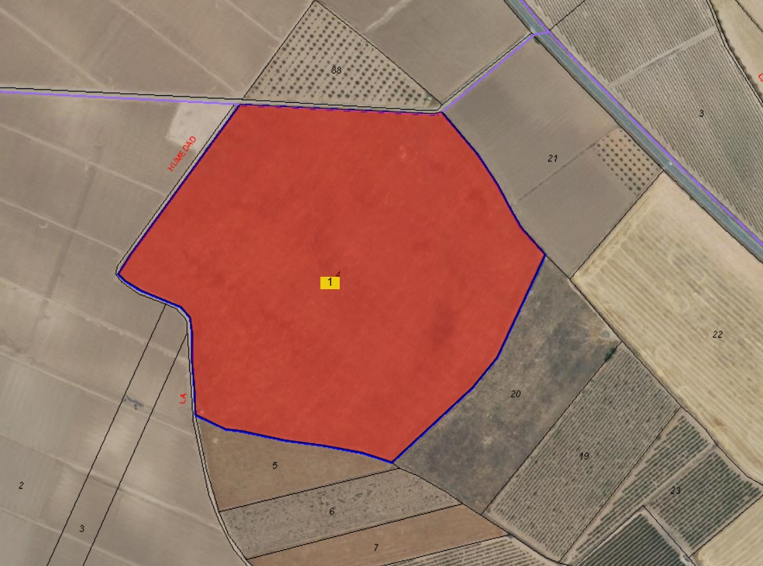 Looking for an agricultural investment in smaller or larger scale - Image 1