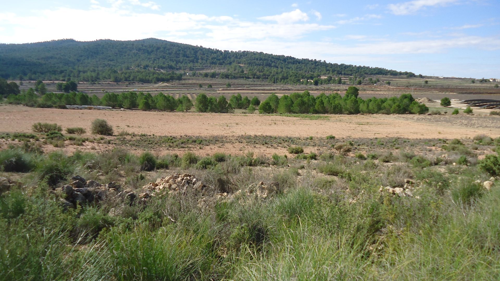 This 86,000m² building plot near Monovar offers a lush, green landscape with irrigation water readil - Image 1