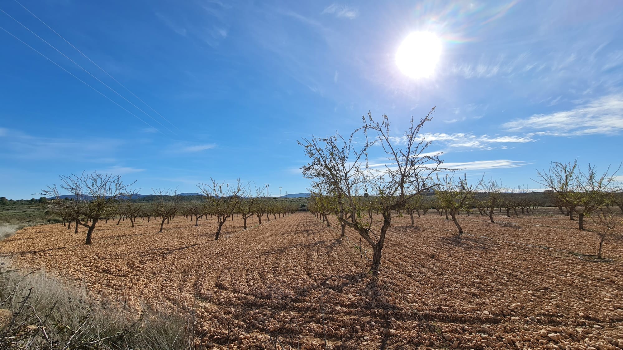 Presenting an expansive plot of land spanning 27,528 square meters, ideally located near Lel and jus - Image 1