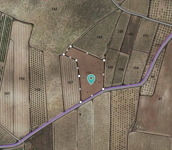 The plot is not a buildable plot, it currently has grape vines on it - Image 1