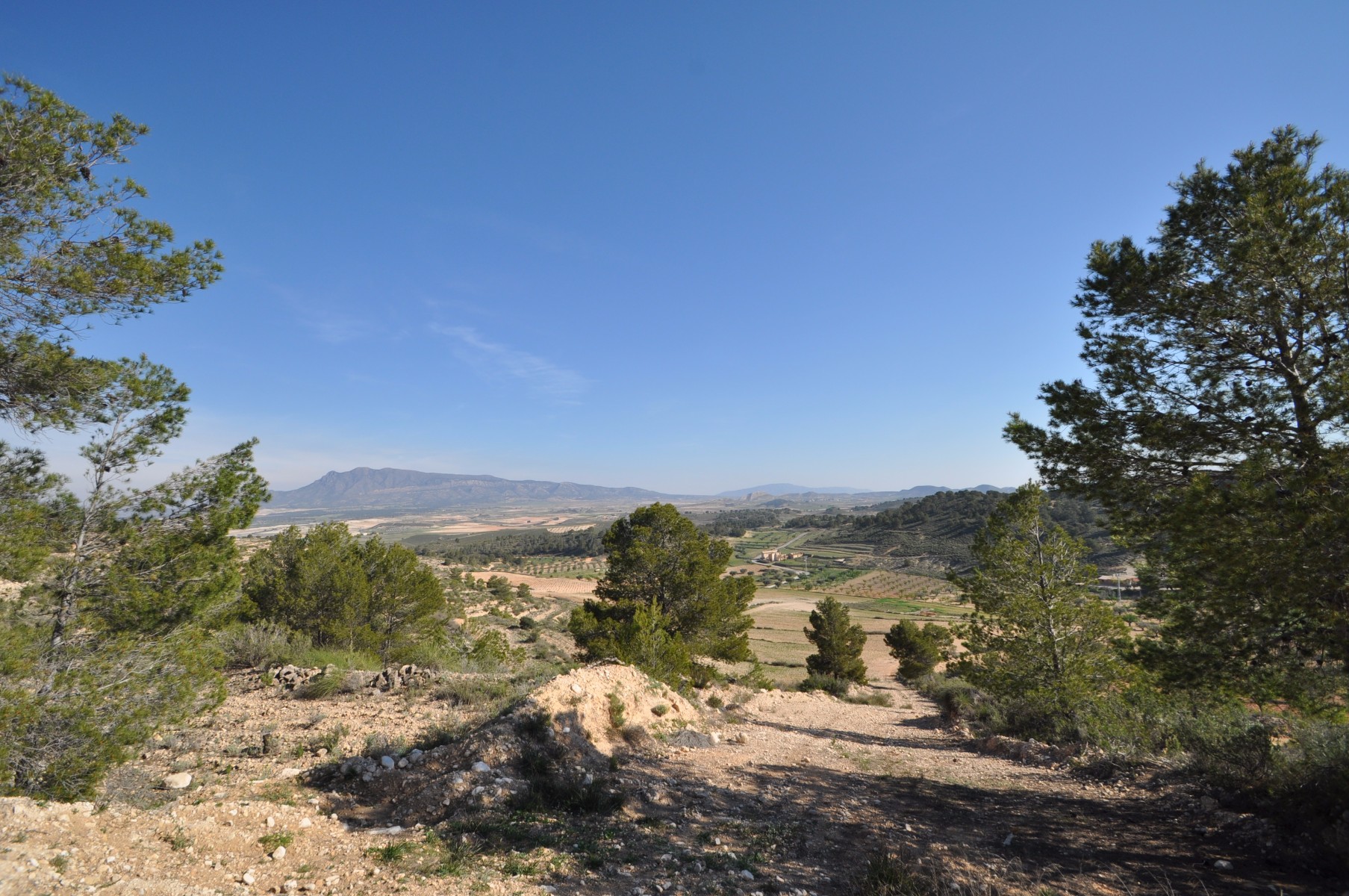 This plot is located in the stunning location of La zarza and is set on the edge of the National par - Image 1