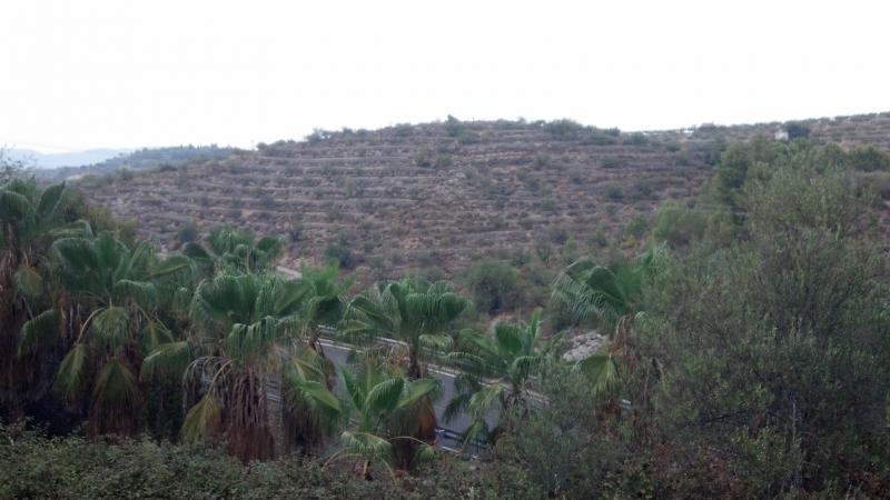 67,500 rustic land in Salem, 20km from Gandia - Image 1