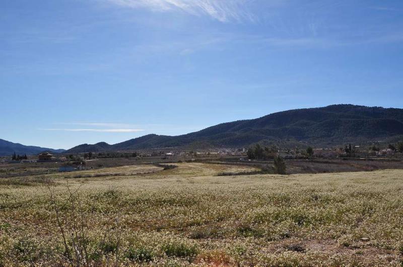 A parcel of land situated on the outskirts of the picturesque village of Chinorlet within walking di