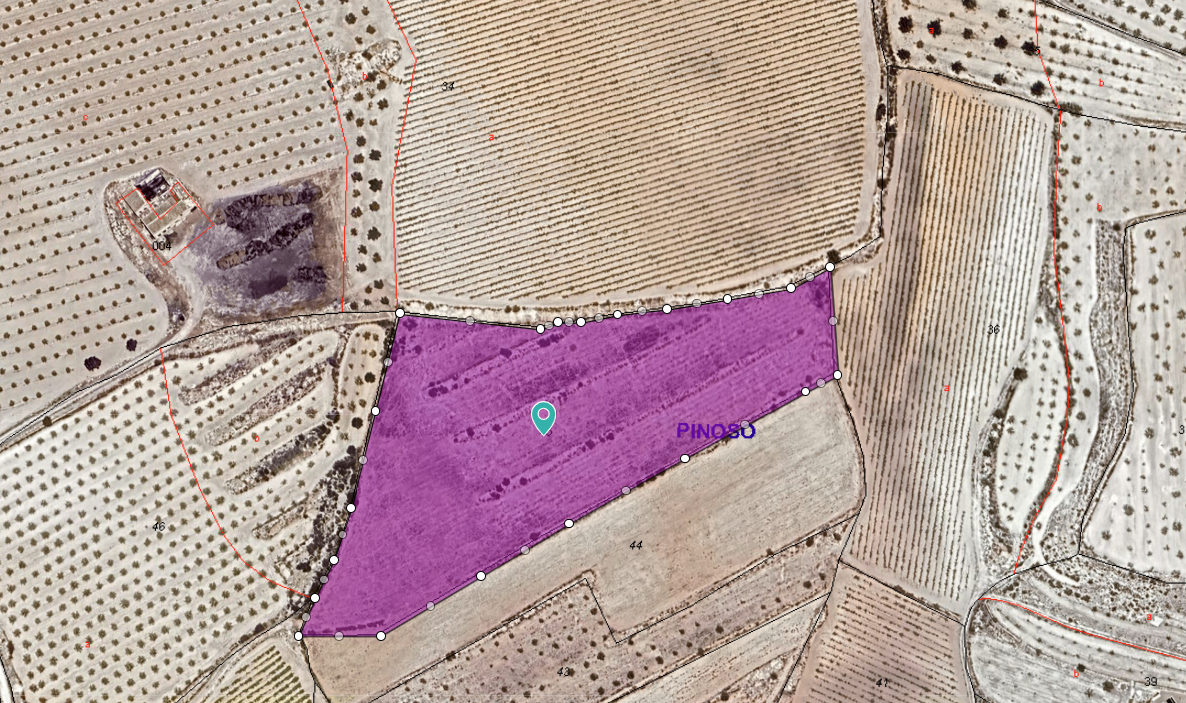 Nestled in the charming hamlet of Úbeda, just a 10-minute drive from the vibrant town of Pinoso, thi - Image 1